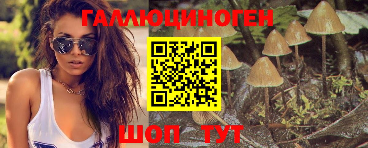 Галлюциногенные грибы мицелий  Шуя 