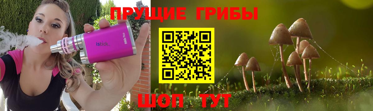Шуя  Псилоцибиновые грибы Psilocybe  Вход с VPN 
